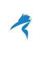 cropped-TETCELE-ICC-Logo-for-dark-bg.png